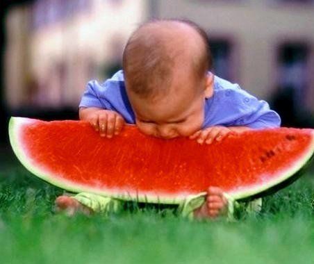 Baby beißt in riesige Melonenscheibe