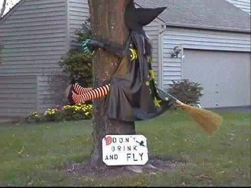 Betrunkene Hexe ist gegen einen Baum geflogen