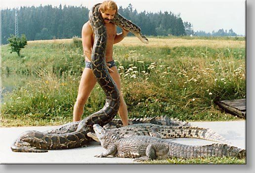 Tarzan kämpft mit Schlange und Krokodil