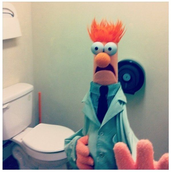Figur aus Muppets Show auf der Toilette