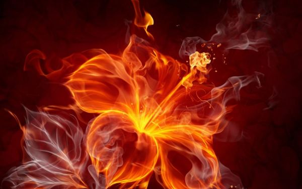 Eine Blume aus Feuer und Flammen