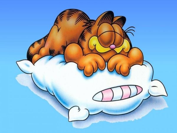 Garfield schläft auf Kissen